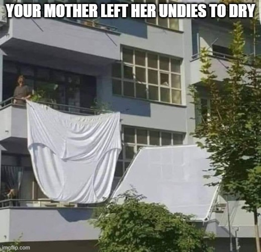 Your mother left her undies to dry,, | YOUR MOTHER LEFT HER UNDIES TO DRY | image tagged in mother,panties | made w/ Imgflip meme maker
