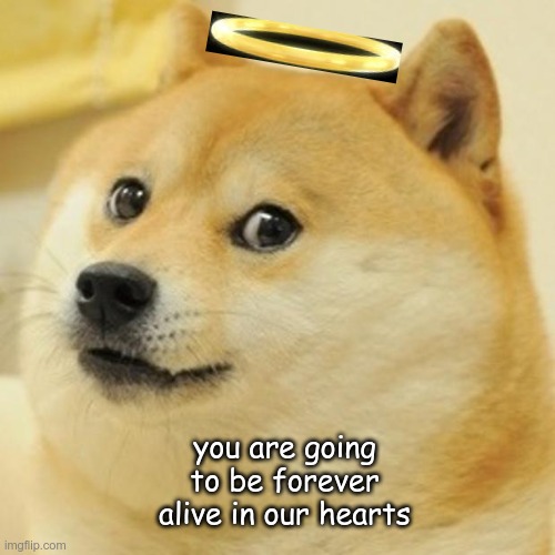 forever | you are going to be forever alive in our hearts | image tagged in memes,doge | made w/ Imgflip meme maker