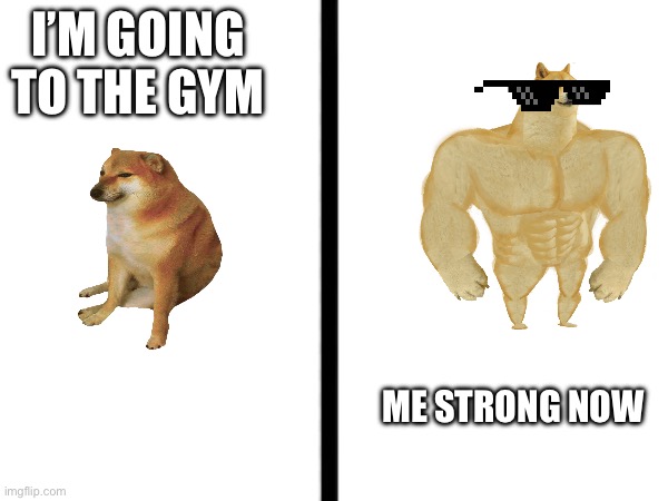 The gym | I’M GOING TO THE GYM; ME STRONG NOW | image tagged in cool | made w/ Imgflip meme maker