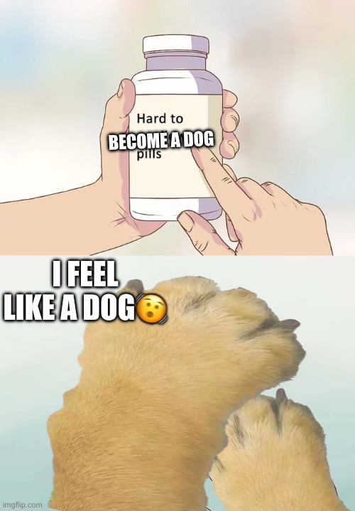 Pills | BECOME A DOG; I FEEL LIKE A DOG🫨 | image tagged in memes,hard to swallow pills | made w/ Imgflip meme maker