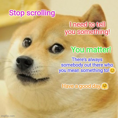 not trying to beg, but try and get this to the first page so everyone sees this!! | Stop scrolling; I need to tell you something! You matter! There's always somebody out there who you mean something to!😊; Have a good day.🤗 | image tagged in memes,doge | made w/ Imgflip meme maker