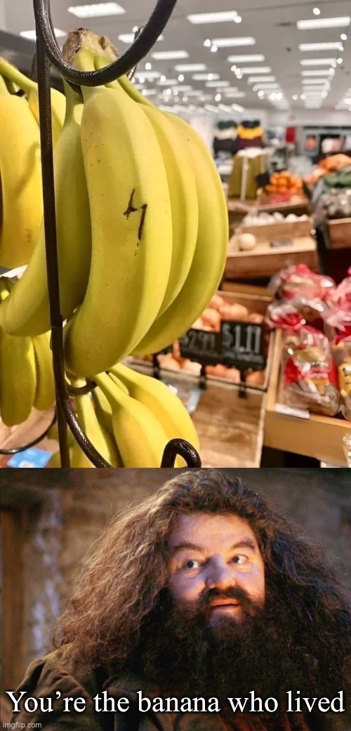 The banana | You’re the banana who lived | image tagged in hagrid,banana,harry potter,the boy who lived | made w/ Imgflip meme maker