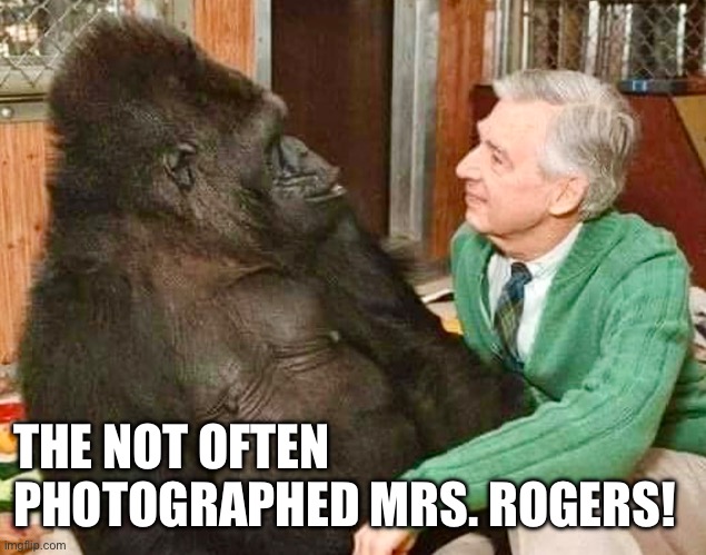 Mrs. Rogers | THE NOT OFTEN PHOTOGRAPHED MRS. ROGERS! | image tagged in funny memes,animals,mr rogers | made w/ Imgflip meme maker