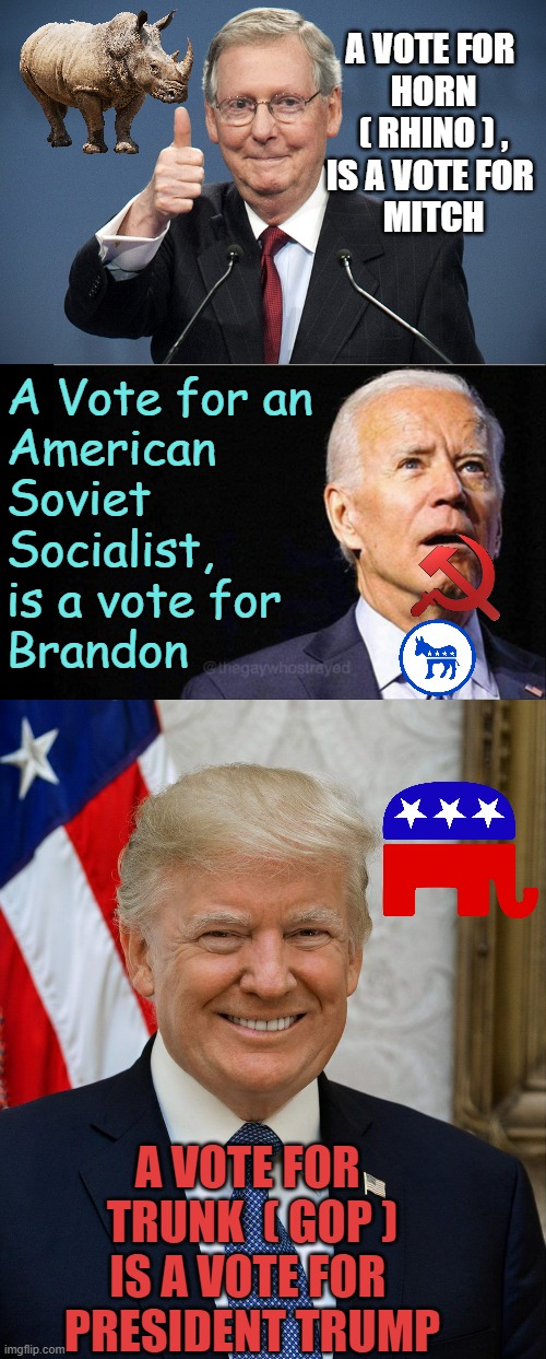 OH SAY, CAN YOU SEE ? | A VOTE FOR 
HORN ( RHINO ) ,
IS A VOTE FOR 
MITCH; A Vote for an
American
Soviet
Socialist,
is a vote for 
Brandon; A VOTE FOR 
TRUNK  ( GOP )
IS A VOTE FOR 
PRESIDENT TRUMP | image tagged in mitch mcconnell,joe biden,president trump official photo,democratic socialism,cultural marxism,constitutional convention | made w/ Imgflip meme maker