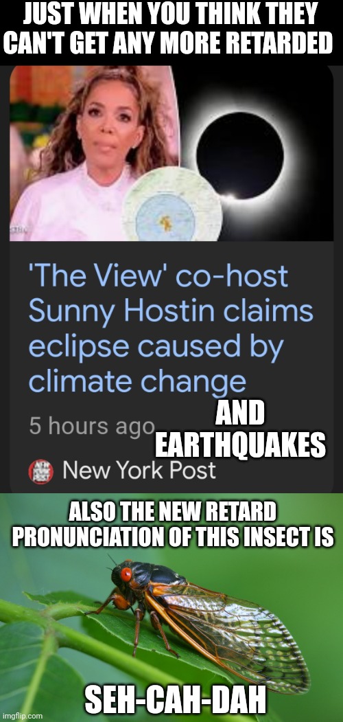 JUST WHEN YOU THINK THEY CAN'T GET ANY MORE RETARDED; AND EARTHQUAKES; ALSO THE NEW RETARD PRONUNCIATION OF THIS INSECT IS; SEH-CAH-DAH | image tagged in cicada dgaf | made w/ Imgflip meme maker