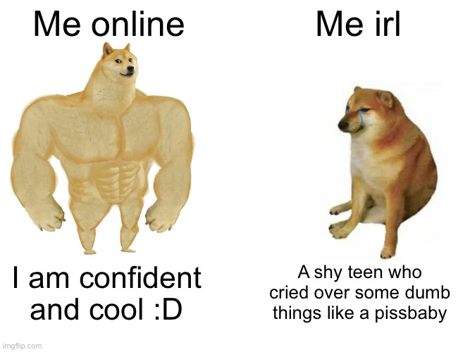 Fr, that’s me | Me online; Me irl; I am confident and cool :D; A shy teen who cried over some dumb things like a pissbaby | image tagged in memes,buff doge vs cheems,online,internet | made w/ Imgflip meme maker