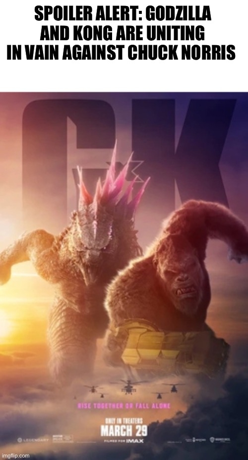 Godzilla and Kong | SPOILER ALERT: GODZILLA AND KONG ARE UNITING IN VAIN AGAINST CHUCK NORRIS | image tagged in godzilla and kong | made w/ Imgflip meme maker
