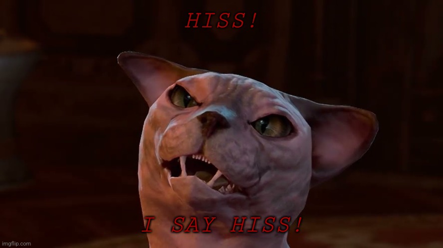 His Majesty | HISS! I SAY HISS! | image tagged in memes,video games,cat,reaction,reactions,game | made w/ Imgflip meme maker