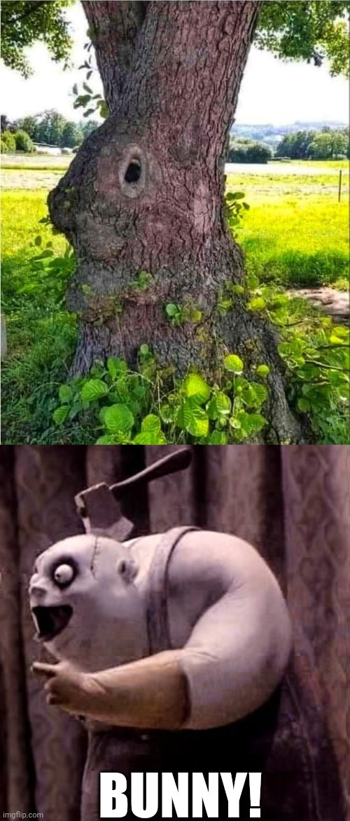 THE RABBIT TREE | BUNNY! | image tagged in bunny,rabbit,tree | made w/ Imgflip meme maker