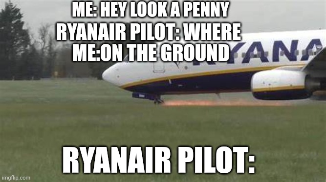 Ah yes the beauty of Ireland | ME: HEY LOOK A PENNY; RYANAIR PILOT: WHERE; ME:ON THE GROUND; RYANAIR PILOT: | image tagged in ryanair crash | made w/ Imgflip meme maker