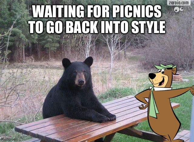 Picnics | WAITING FOR PICNICS TO GO BACK INTO STYLE | image tagged in why you problem,picnics,bears,yogi bear,cartoon,cartoons | made w/ Imgflip meme maker