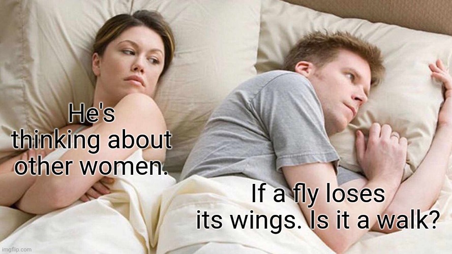 Hmm.... | He's thinking about other women. If a fly loses its wings. Is it a walk? | image tagged in memes,i bet he's thinking about other women | made w/ Imgflip meme maker