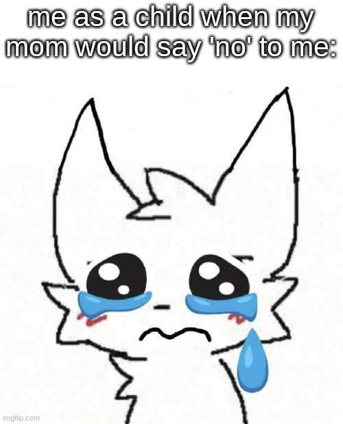 me as a child when my mom would say 'no' to me: | image tagged in memes,cats,funny,sad | made w/ Imgflip meme maker