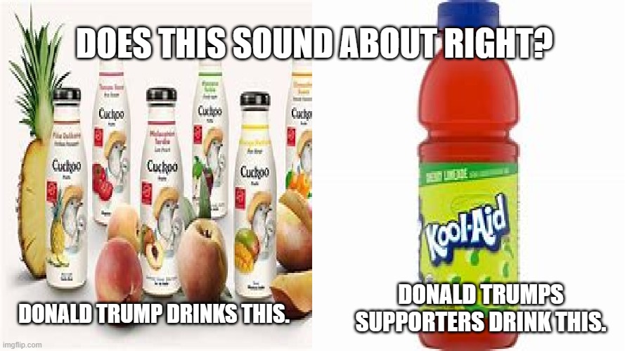 Drinks | DOES THIS SOUND ABOUT RIGHT? DONALD TRUMPS SUPPORTERS DRINK THIS. DONALD TRUMP DRINKS THIS. | image tagged in drinks,donald trump,donald trump's supporters | made w/ Imgflip meme maker