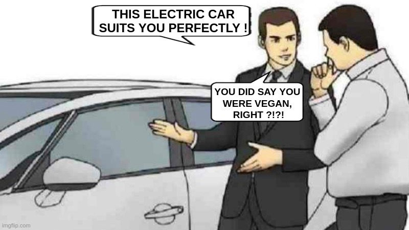 A mental illness rarely comes alone....... | THIS ELECTRIC CAR SUITS YOU PERFECTLY ! YOU DID SAY YOU 
WERE VEGAN, 
RIGHT ?!?! | image tagged in memes,car salesman slaps roof of car,funny,vegan,mental illness,mental health | made w/ Imgflip meme maker