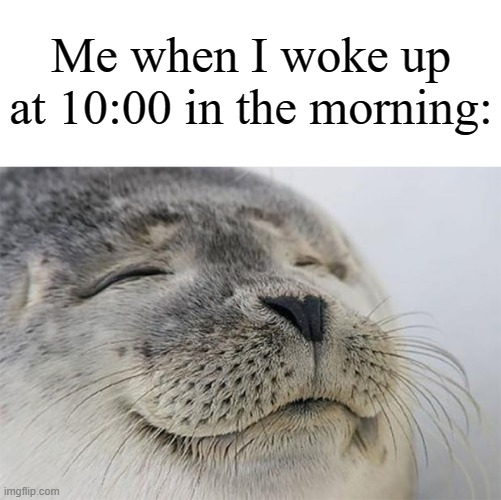 It's so satisfying | Me when I woke up at 10:00 in the morning: | image tagged in memes,satisfied seal,morning,funny,sleep,why are you reading the tags | made w/ Imgflip meme maker