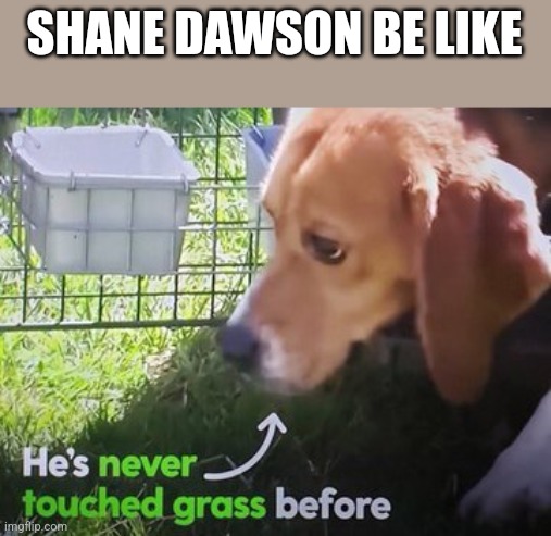 He's never touched grass before | SHANE DAWSON BE LIKE | image tagged in he's never touched grass before | made w/ Imgflip meme maker