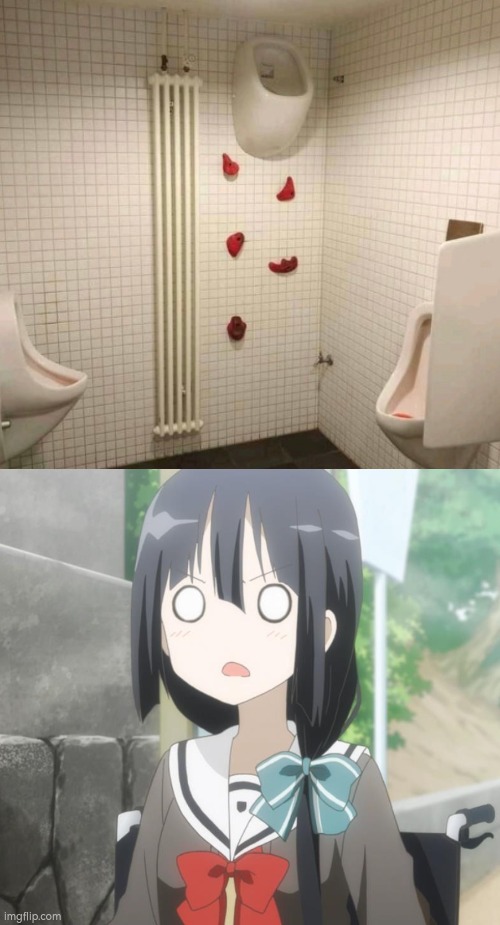 Whoever did this, they're stupid. | image tagged in toilet,climb | made w/ Imgflip meme maker