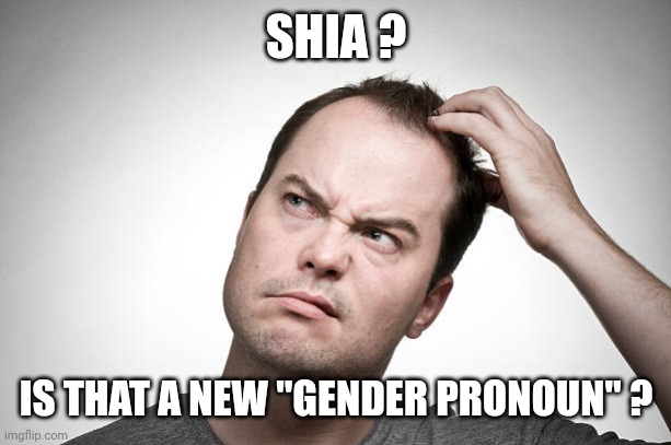 confused | SHIA ? IS THAT A NEW "GENDER PRONOUN" ? | image tagged in confused | made w/ Imgflip meme maker