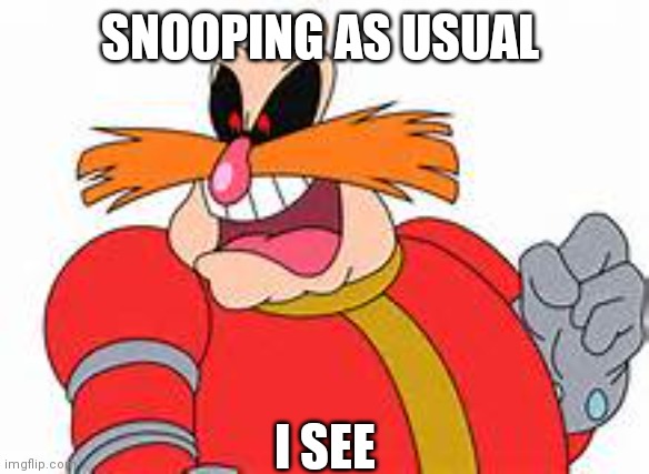 SNOOPING AS USUAL I SEE | image tagged in pingas | made w/ Imgflip meme maker