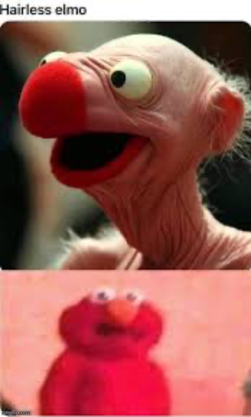 Shock | image tagged in elmo | made w/ Imgflip meme maker