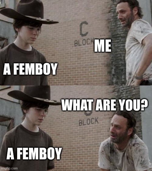 Rick and Carl Meme | ME; A FEMBOY; WHAT ARE YOU? A FEMBOY | image tagged in memes,rick and carl | made w/ Imgflip meme maker