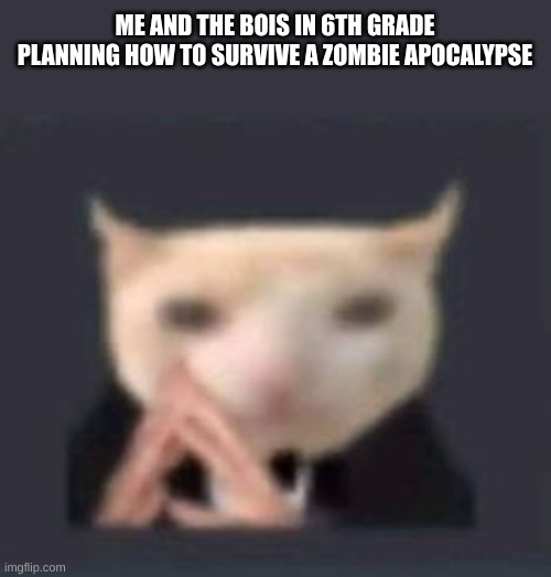 it was fun to do | ME AND THE BOIS IN 6TH GRADE PLANNING HOW TO SURVIVE A ZOMBIE APOCALYPSE | image tagged in memes,zombies | made w/ Imgflip meme maker