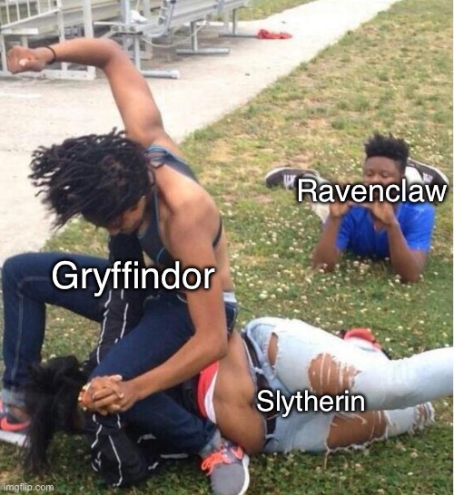 Guy recording a fight | Ravenclaw; Gryffindor; Slytherin | image tagged in guy recording a fight | made w/ Imgflip meme maker