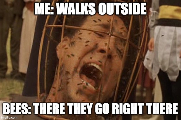 Bees | ME: WALKS OUTSIDE; BEES: THERE THEY GO RIGHT THERE | image tagged in not the bees,bees,spring,summer,insect,bug | made w/ Imgflip meme maker