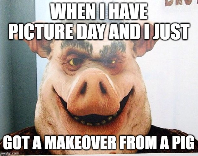 pig | WHEN I HAVE PICTURE DAY AND I JUST; GOT A MAKEOVER FROM A PIG | image tagged in pig,hi | made w/ Imgflip meme maker