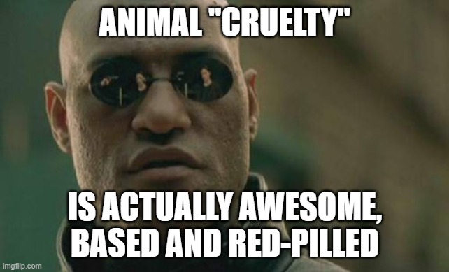 It's awesome to abuse animals | ANIMAL "CRUELTY"; IS ACTUALLY AWESOME, BASED AND RED-PILLED | image tagged in memes,matrix morpheus | made w/ Imgflip meme maker