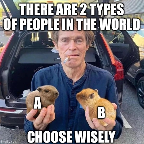 Capybara meme | THERE ARE 2 TYPES OF PEOPLE IN THE WORLD; A; B; CHOOSE WISELY | image tagged in choices,capybara,funny memes,meme,capybara meme | made w/ Imgflip meme maker