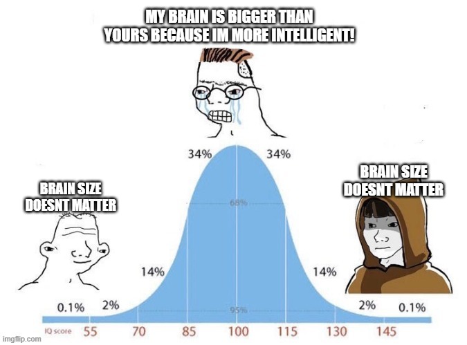 Big brain | MY BRAIN IS BIGGER THAN YOURS BECAUSE IM MORE INTELLIGENT! BRAIN SIZE DOESNT MATTER; BRAIN SIZE DOESNT MATTER | image tagged in bell curve,iq,big brain,funny,memes,dank memes | made w/ Imgflip meme maker