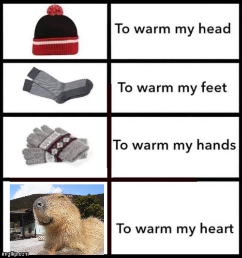 Capybara meme | image tagged in warms my heart meme template,capybara meme,funny memes | made w/ Imgflip meme maker