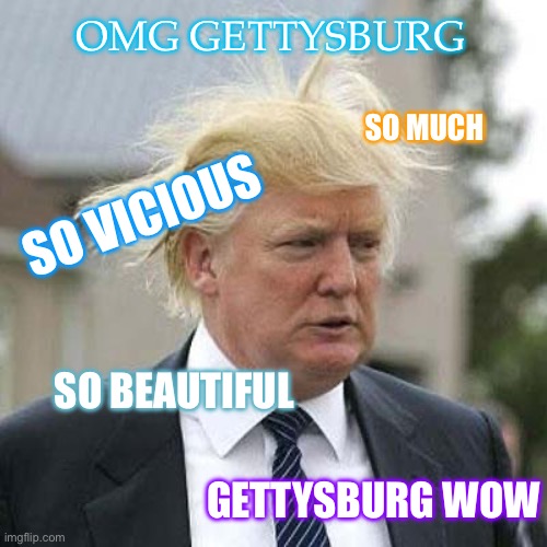 Gettysburg WOW | OMG GETTYSBURG; SO MUCH; SO VICIOUS; SO BEAUTIFUL; GETTYSBURG WOW | image tagged in donald trump | made w/ Imgflip meme maker