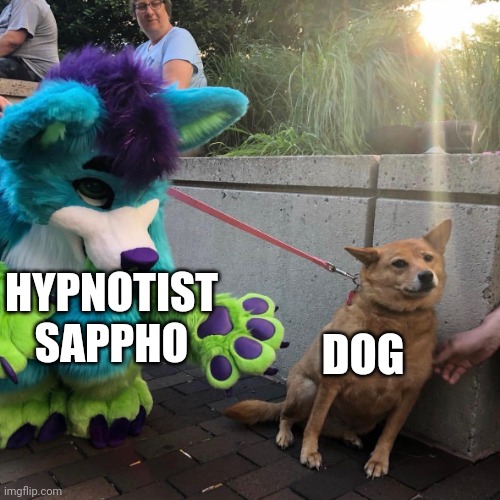 Hypno when dog: | DOG; HYPNOTIST SAPPHO | image tagged in dog afraid of furry,wtf,hypnotist sappho is evil,bruh | made w/ Imgflip meme maker