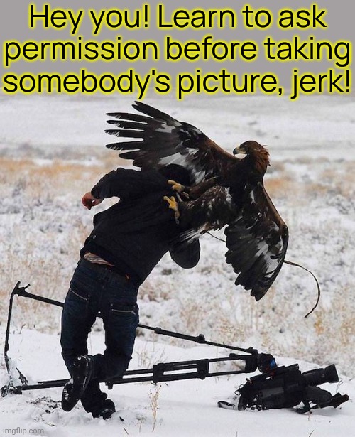 Informed consent. | Hey you! Learn to ask permission before taking somebody's picture, jerk! | image tagged in condor vs cameraman,privacy,i'm in this photo and i don't like it,how rude,getting respect giving respect | made w/ Imgflip meme maker