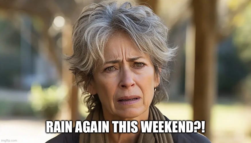 RAIN AGAIN THIS WEEKEND?! | image tagged in weather,rain | made w/ Imgflip meme maker