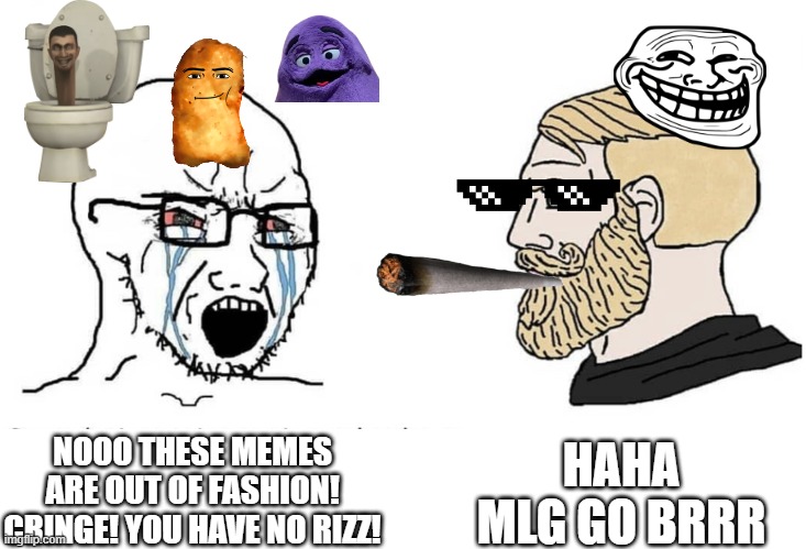 meme age | HAHA MLG GO BRRR; NOOO THESE MEMES ARE OUT OF FASHION! CRINGE! YOU HAVE NO RIZZ! | image tagged in soyboy vs yes chad | made w/ Imgflip meme maker