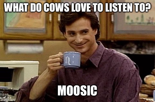 Dad Joke | WHAT DO COWS LOVE TO LISTEN TO? MOOSIC | image tagged in dad joke,puns,bad pun dog,pun,cows,moo | made w/ Imgflip meme maker