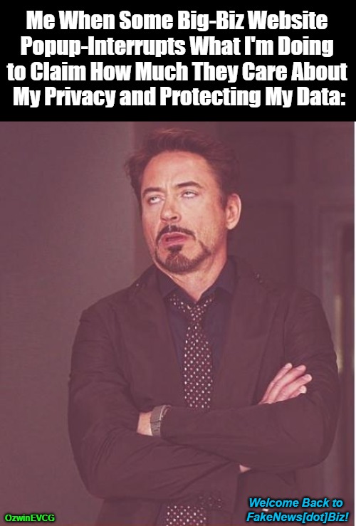 Welcome Back to FakeNews[dot]Biz! | Me When Some Big-Biz Website 

Popup-Interrupts What I'm Doing 

to Claim How Much They Care About 

My Privacy and Protecting My Data:; OzwinEVCG; Welcome Back to 

FakeNews[dot]Biz! | image tagged in memes,face you make robert downey jr,relatable,popup windows,corporations,alternate reality | made w/ Imgflip meme maker