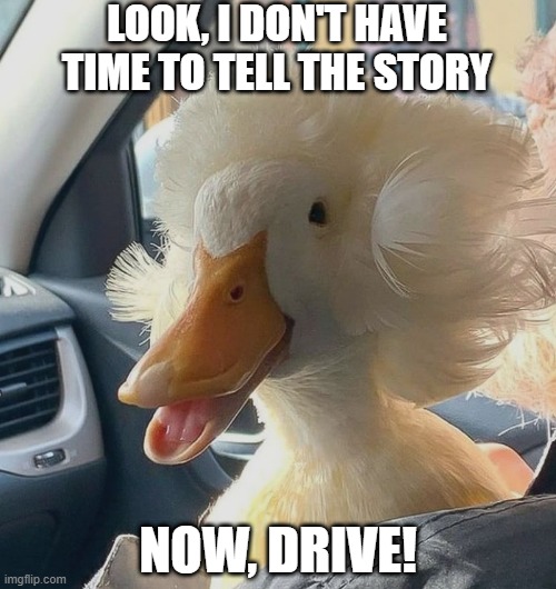 There's a Story | LOOK, I DON'T HAVE TIME TO TELL THE STORY; NOW, DRIVE! | image tagged in ducks | made w/ Imgflip meme maker