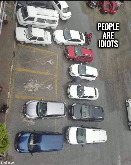 Like we need more proof | PEOPLE ARE IDIOTS | image tagged in stupid people,outdoing each other,who would win,biggest loser,dumb and dumber,brain drain | made w/ Imgflip meme maker