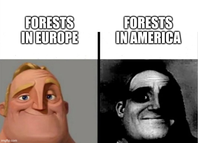 We've got skinwalkers, the wendigo, and many others | FORESTS IN AMERICA; FORESTS IN EUROPE | image tagged in teacher's copy,haunted,forest,mythology | made w/ Imgflip meme maker