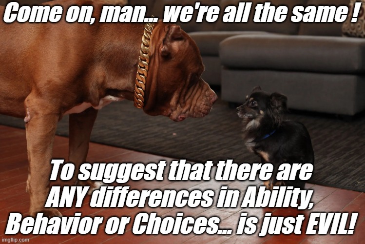 Come on, man... We're ALL DOGS. Every breed is exactly like the others. | Come on, man... we're all the same ! To suggest that there are ANY differences in Ability, Behavior or Choices... is just EVIL! | image tagged in pitbull and chihuahua same species no difference at all | made w/ Imgflip meme maker