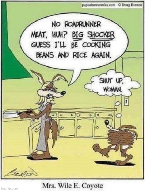 Wile E | image tagged in wile e | made w/ Imgflip meme maker
