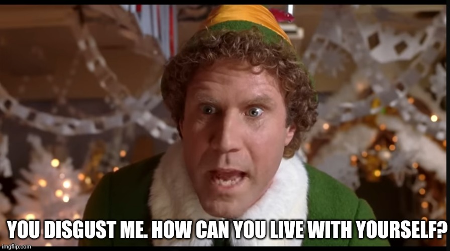 Elf you disgust me | YOU DISGUST ME. HOW CAN YOU LIVE WITH YOURSELF? | image tagged in elf,will ferrell,buddy the elf,disgusted,christmas | made w/ Imgflip meme maker