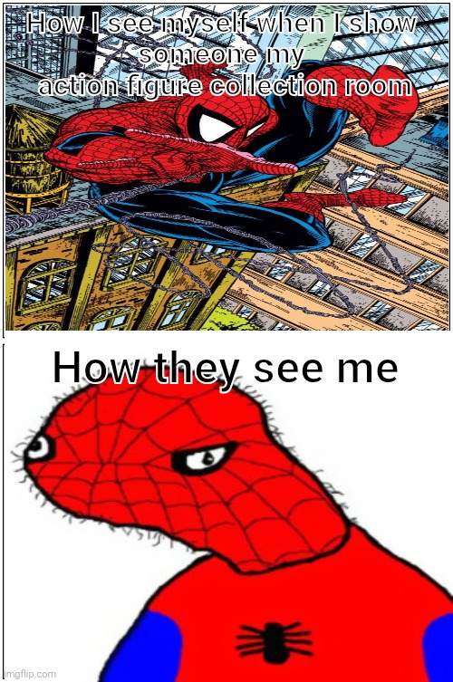 Action figure collector | How I see myself when I show 
someone my 
action figure collection room; How they see me | image tagged in action figure,collection,spiderman,nerd,mcfarlane,funny | made w/ Imgflip meme maker