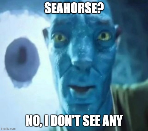Avatar guy | SEAHORSE? NO, I DON'T SEE ANY | image tagged in avatar guy,horse,ocean,2024,memes | made w/ Imgflip meme maker