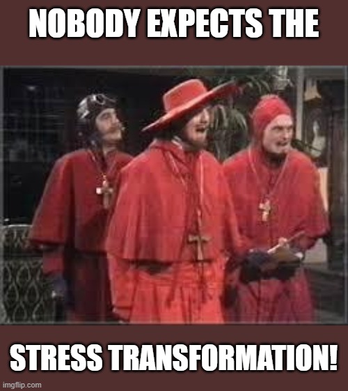 Nobody expects the Stress Transformation! | NOBODY EXPECTS THE; STRESS TRANSFORMATION! | image tagged in spanish inquisition | made w/ Imgflip meme maker